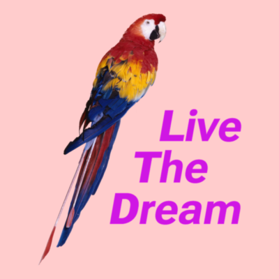 Live the Dream Nest